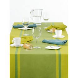 Nappe rectangulaire 150x250cm basic lignée vert Tint